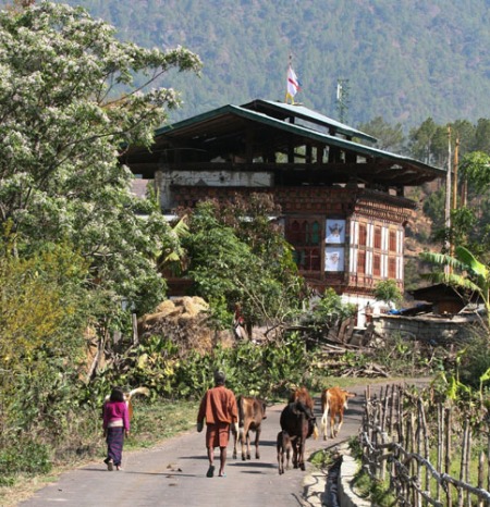 rural-life-1